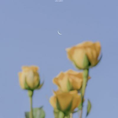 亚博棋牌下载手机版